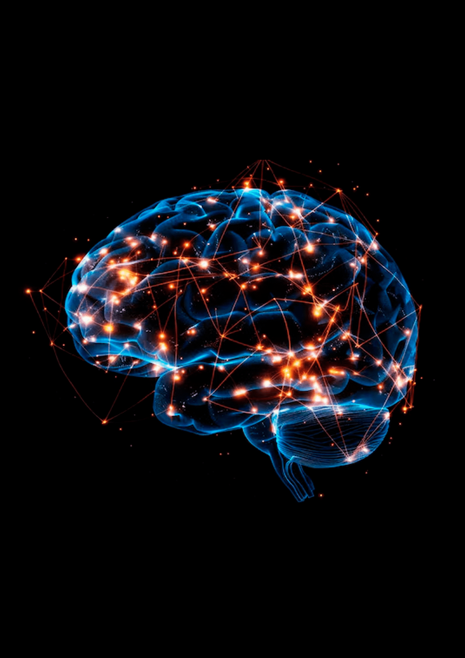 QI: A História, a Ciência e a Importância Incontestável dos Testes de Inteligência