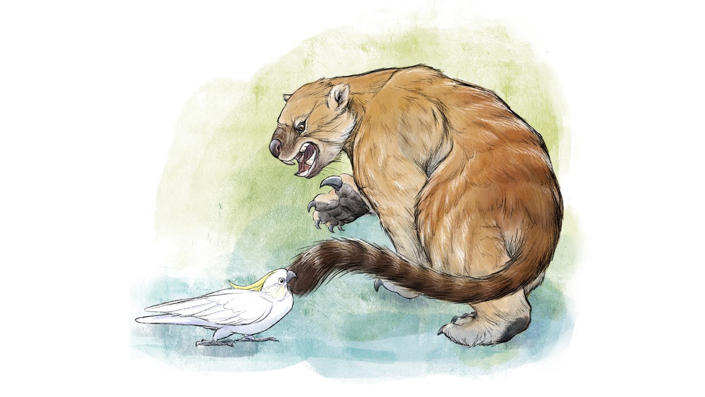 Thylacoleo carnifex, depicted here being harassed by a cockatoo parrot, was a marsupial predator ...