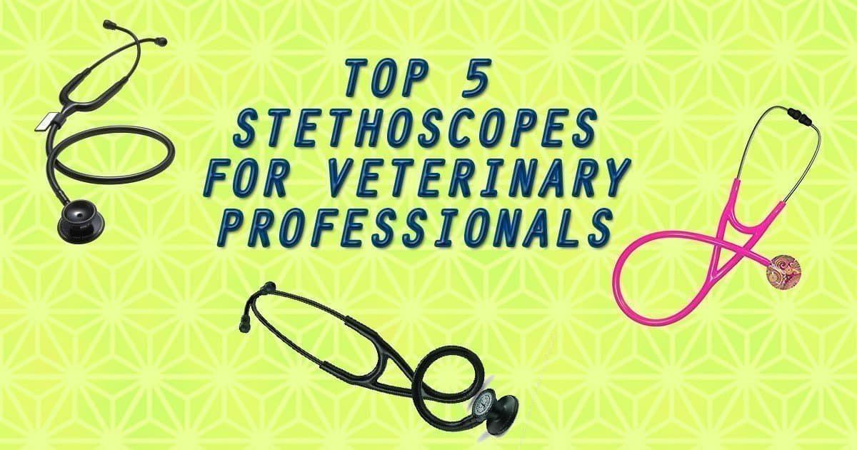 I Love Veterinary - Blog for Veterinarians, Vet Techs, Students