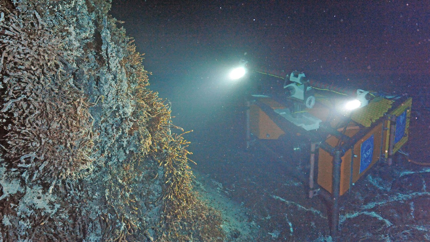 A high-definition camera keeps watch on a hydrothermal vent called Mushroom in the caldera of Axi...