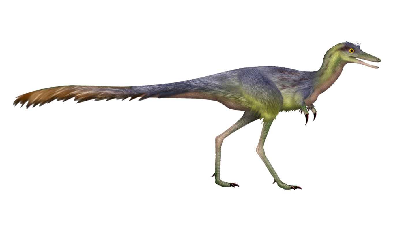 Roughly 50 centimeters long, the Mongolian dino Manipulonyx reshetovi had a distinctive forelimb ...