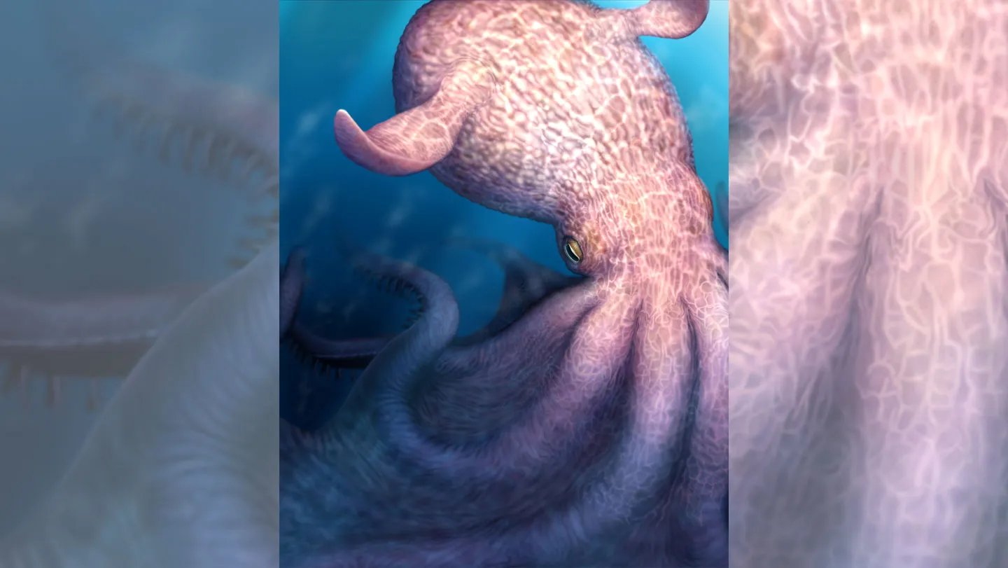 This artwork depicts the whale-sized octopus Nanaimoteuthis haggarti, which stalked the seas at t...