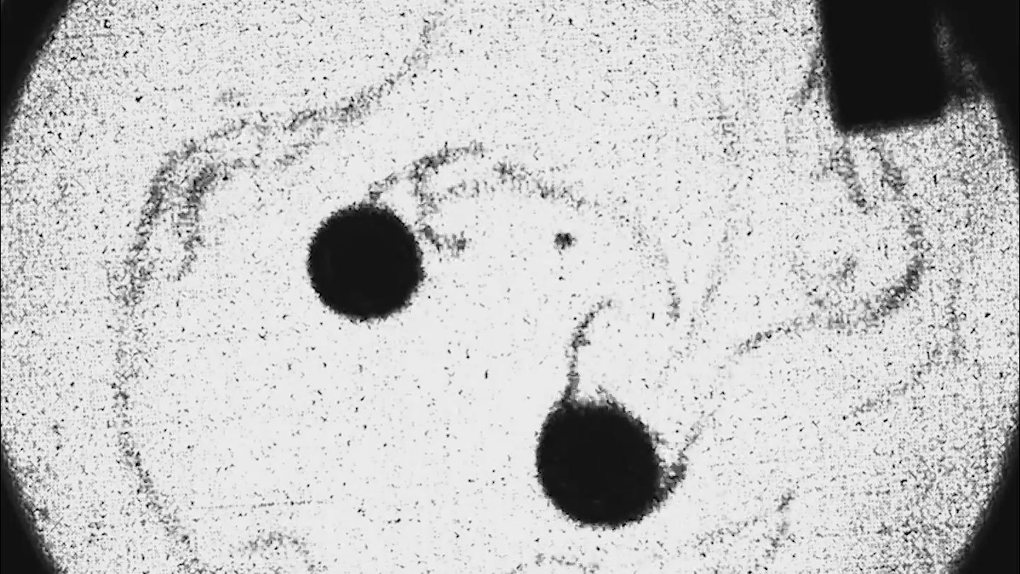 J.-P. Martischang et al./PNAS Nexus, 2026