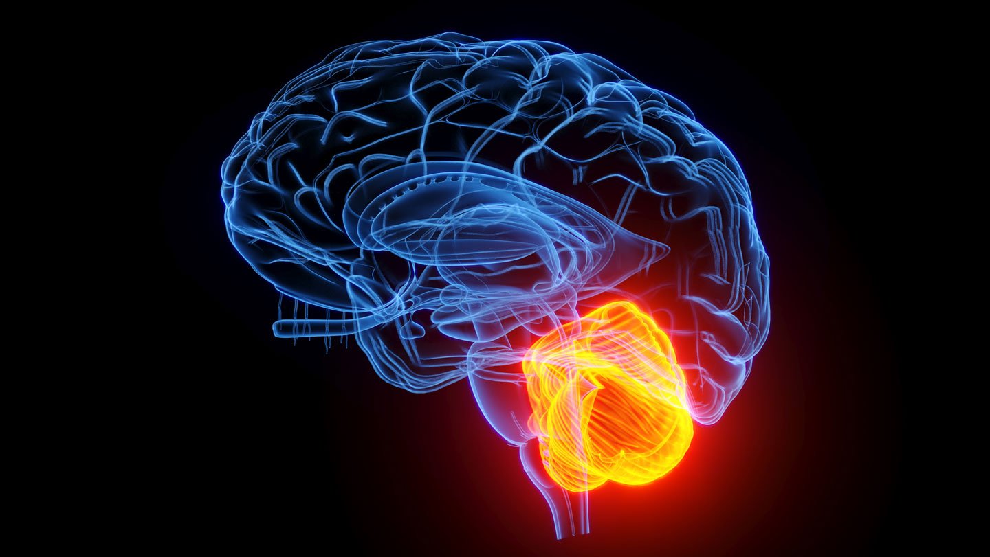 Scientists leveraged existing data to study how the