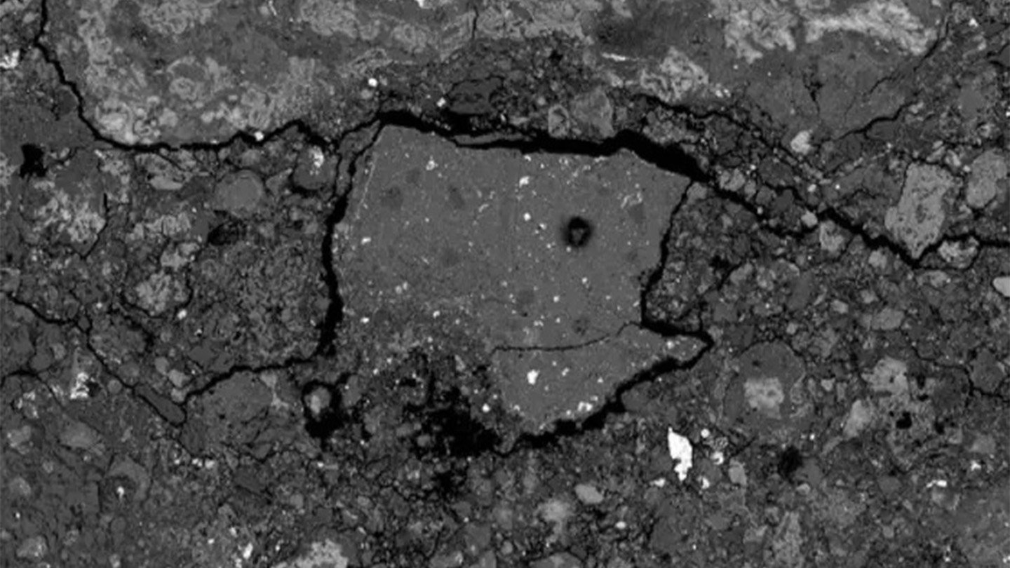 Close examination of the meteorite found that it is enriched in sodium and contains a variety of ...