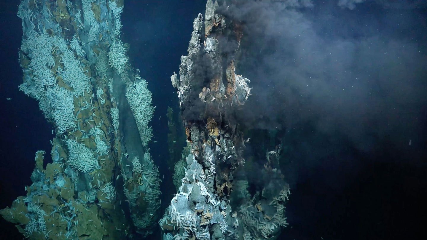 Hydrothermal vents scattered across the seafloor are home for specialized creatures, but how thos...