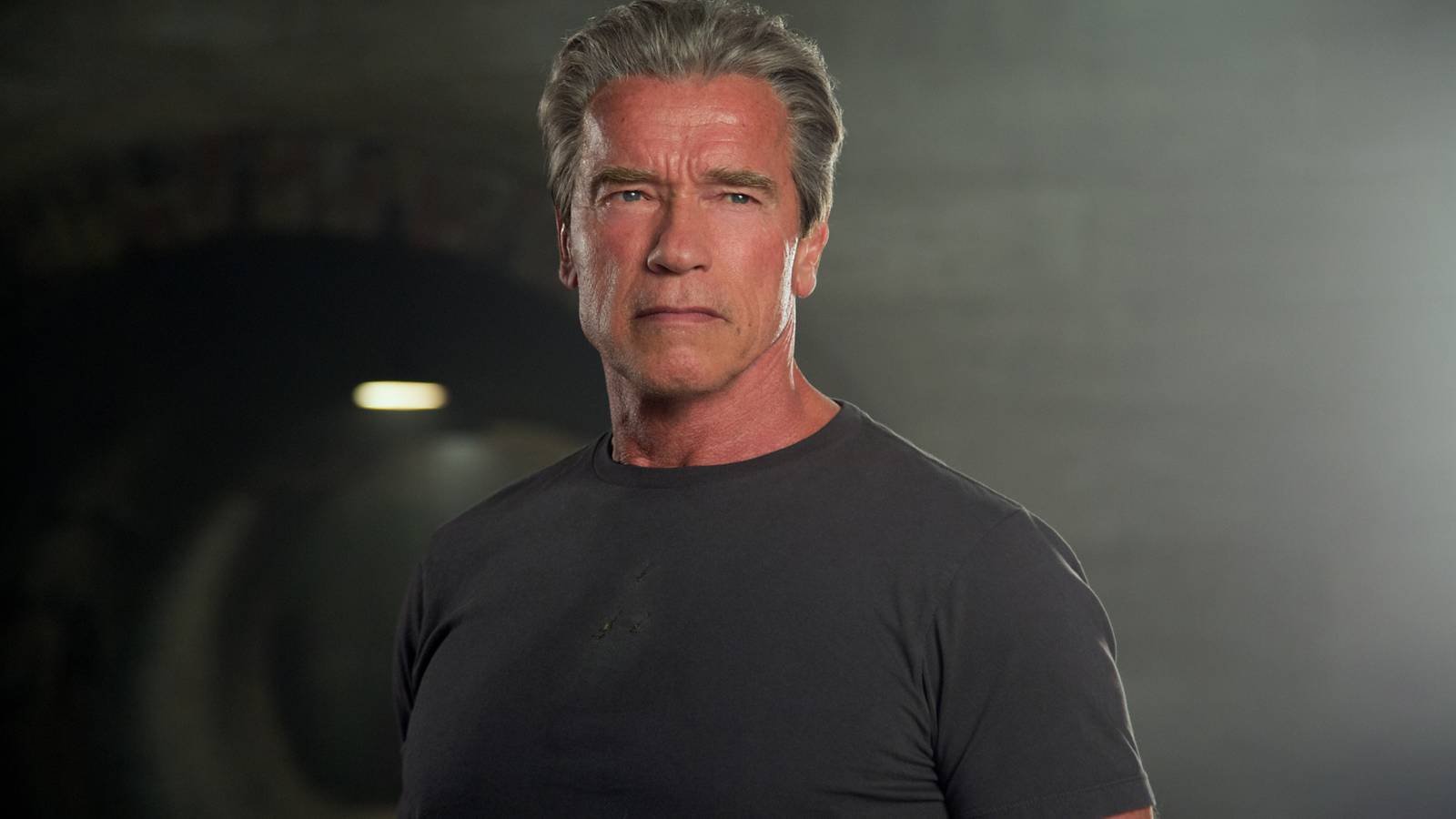 Arnold Schwarzenegger in a promo shot for Terminator Genisys