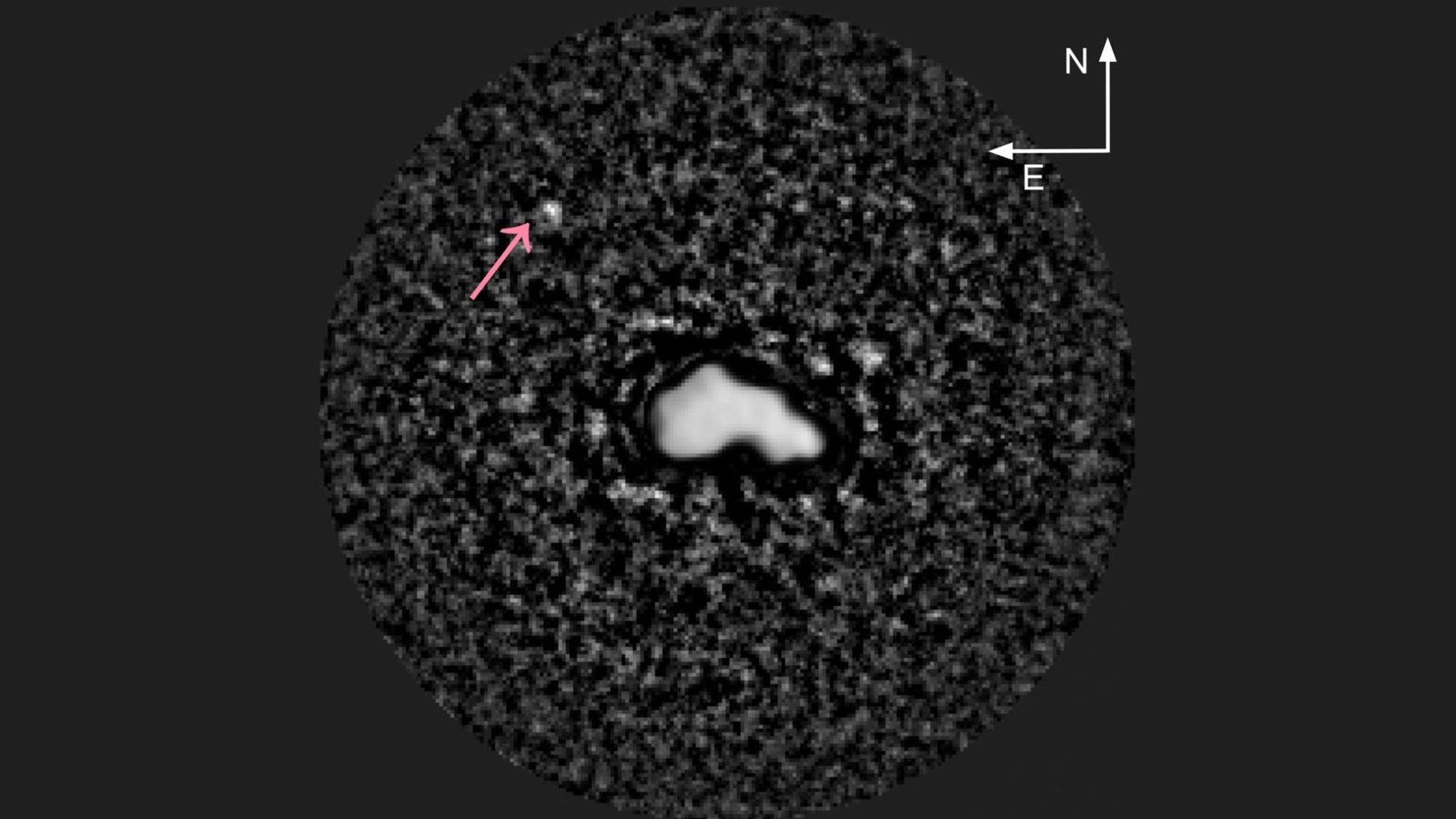 (Image credit: Kate Minker et al.)