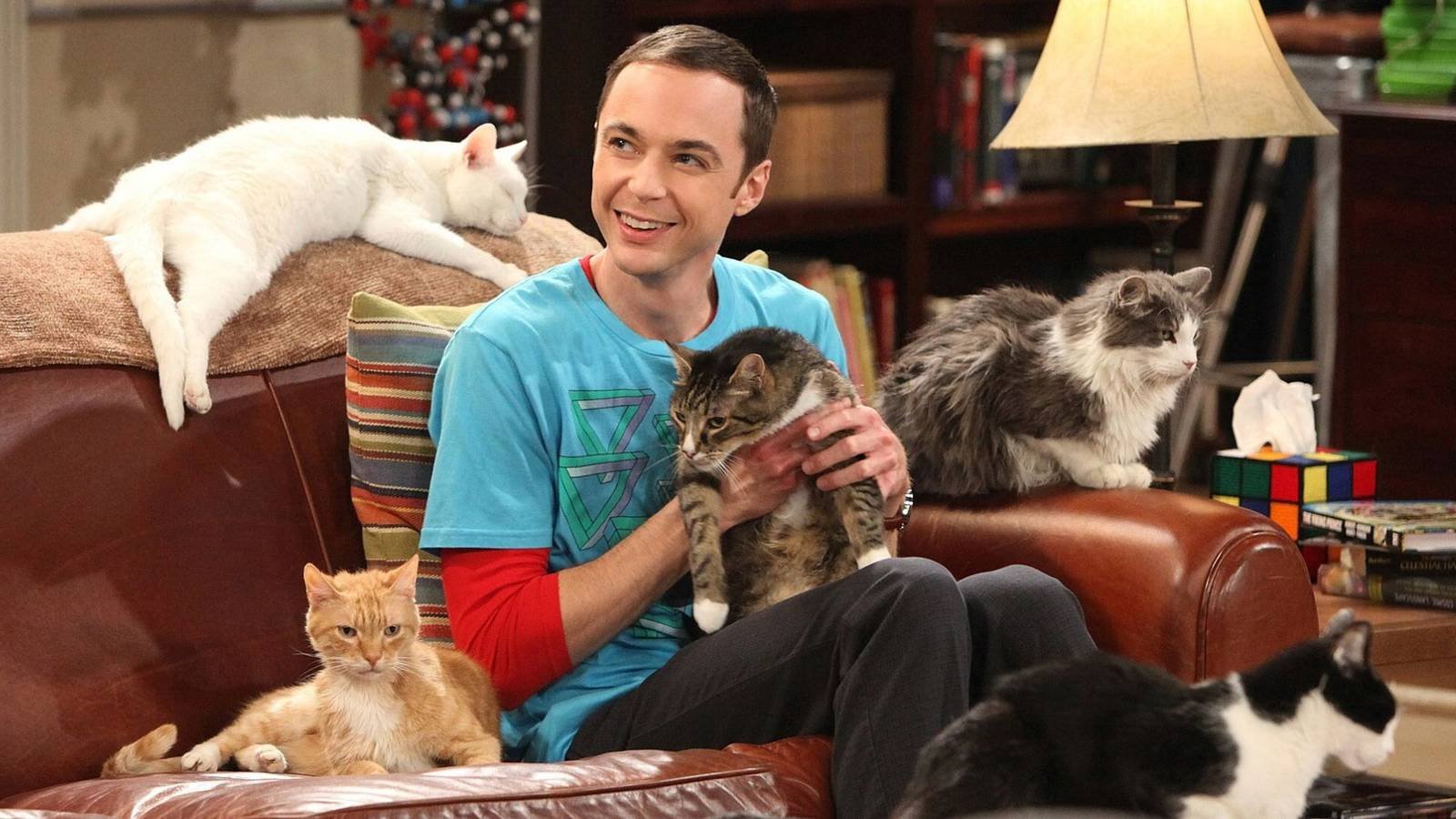 Sheldon surrounded by cats in The Big Bang Theory