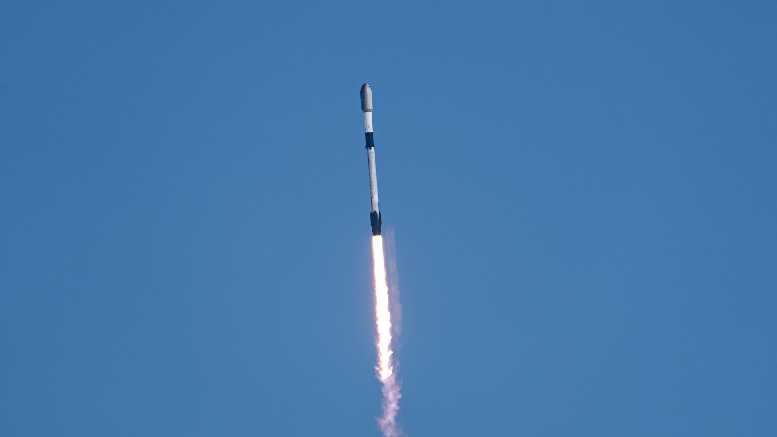 (Image credit: SpaceX)