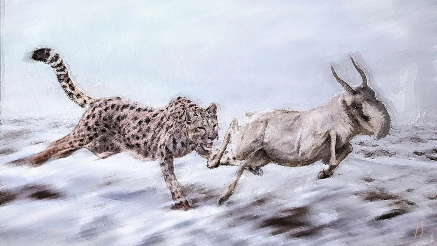 The feline Miracinonyx trumani got its nickname, the “American cheetah,” from its slender, lo...