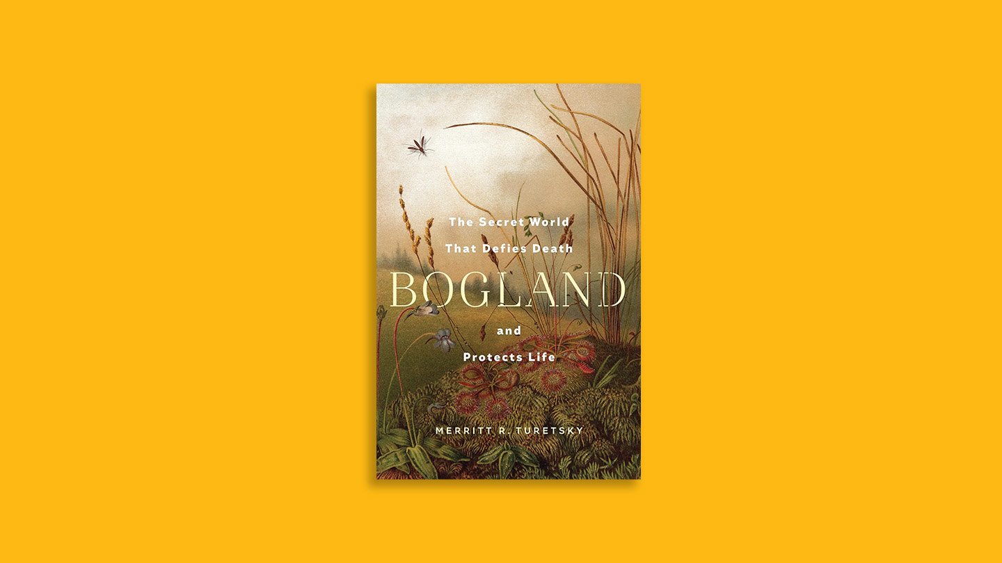 Ecologist Merritt Turetsky’s devotion to bogs, fens and other fascinating water-logged spaces s...