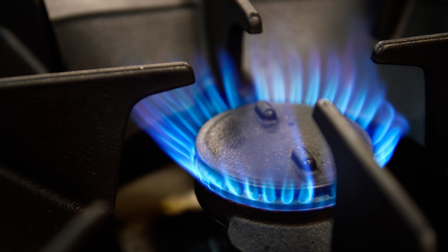The combustion that creates the flame of a gas stove or oven releases pollutants, including nitro...