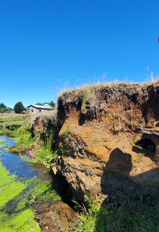 Researcher Claudio Latorre, a professor of paleoecology at the Pontificia Universidad Católica d...
