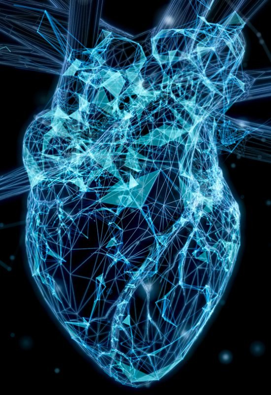 Digital replicas of the heart are helping doctors personalize treatment for dangerous rhythm diso...