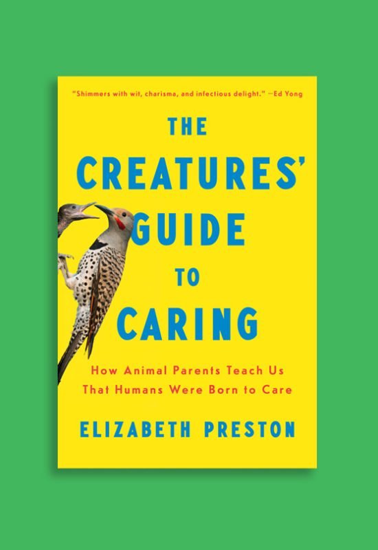 Science journalist Elizabeth Preston explores the ins-and-outs of parenting across the animal kin...